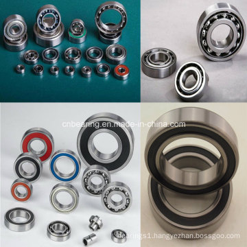 All Types Deep Grove Ball Bearing (6806) Rolling Bearing